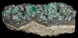Fluorite & Galena Cluster - Rogerley Mine #60365-1